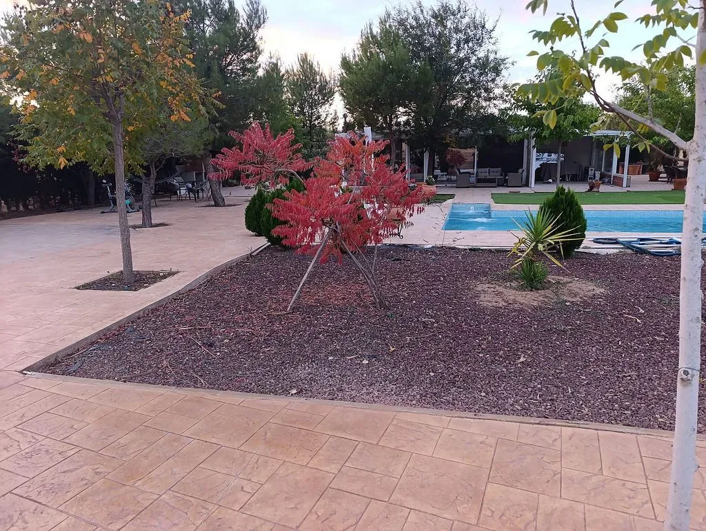 Bassein - Chalet with Pool and Terrace near Albacete