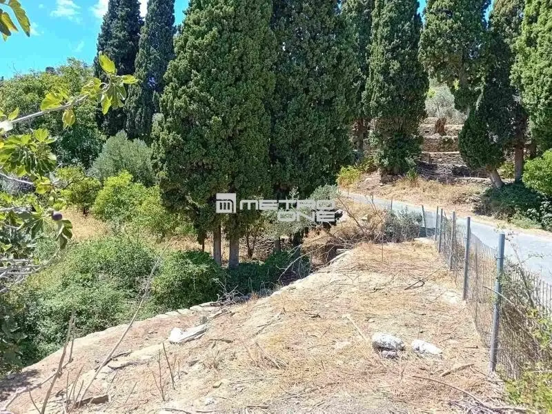 Giardino - Buildable Plot with Open Views in Andros