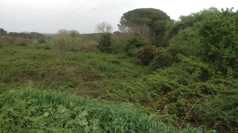 Giardino - Rustic Finca with Development Potential in Córdoba