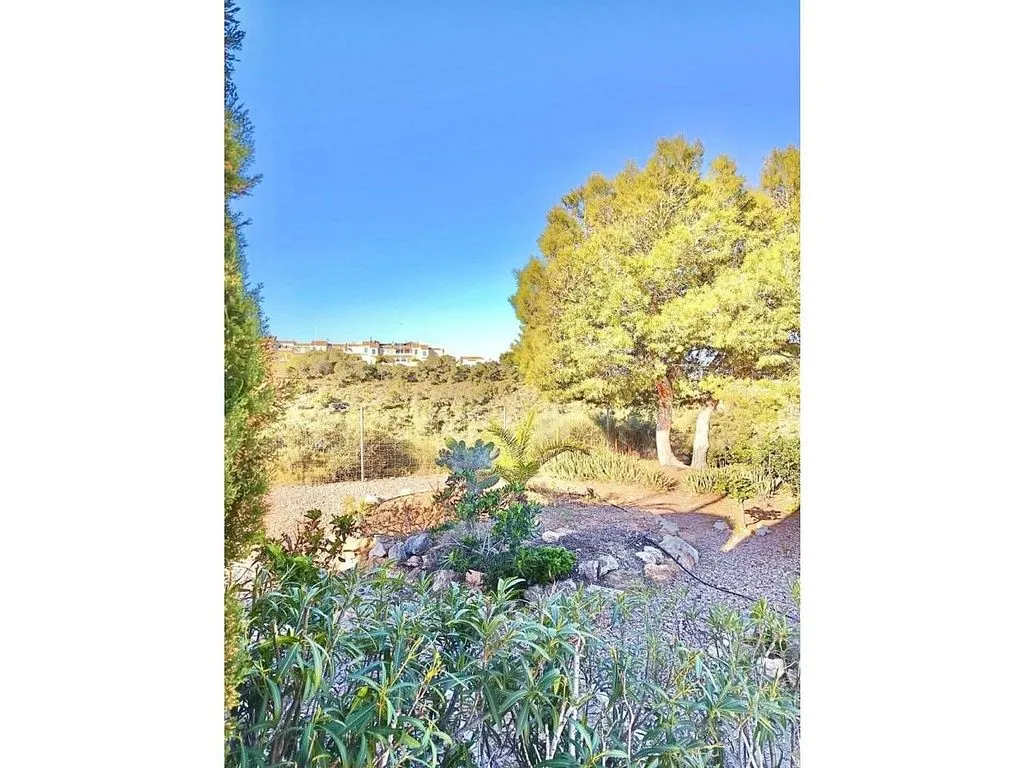 Jardin - Semi-Detached House with Pool in Gran Alacant