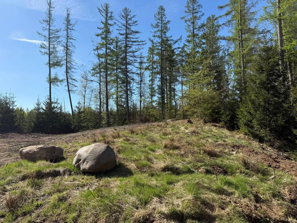 Aed - Unbuilt Plot with Garden Potential in Peaceful Setting