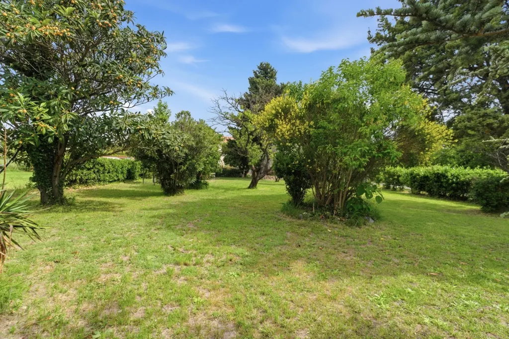 Jardin - Mas à Rénover avec Jardin dans les Alpilles