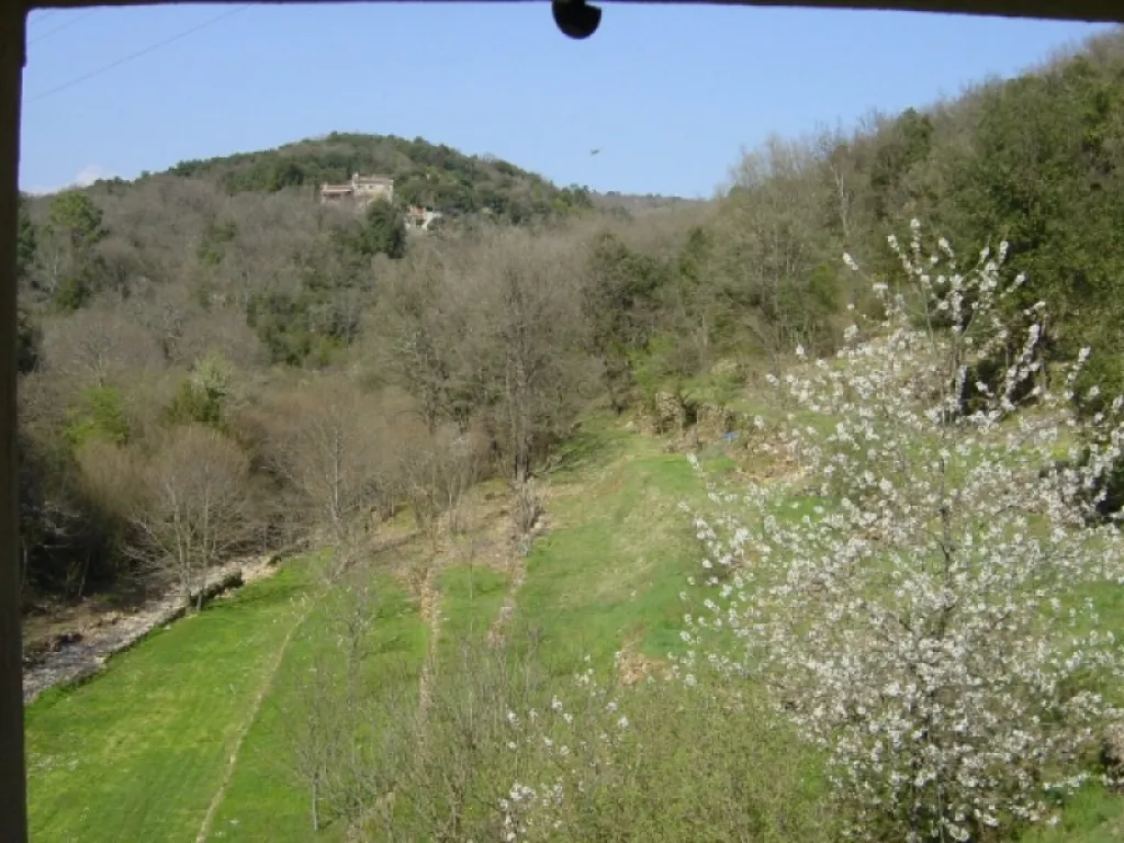 Jardin - Mas du 18e avec 6 Appartements et Piscine à Alès