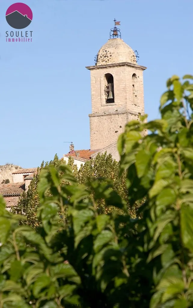 Grande Maison en Pierre avec Logement Séparé à Bédoin
