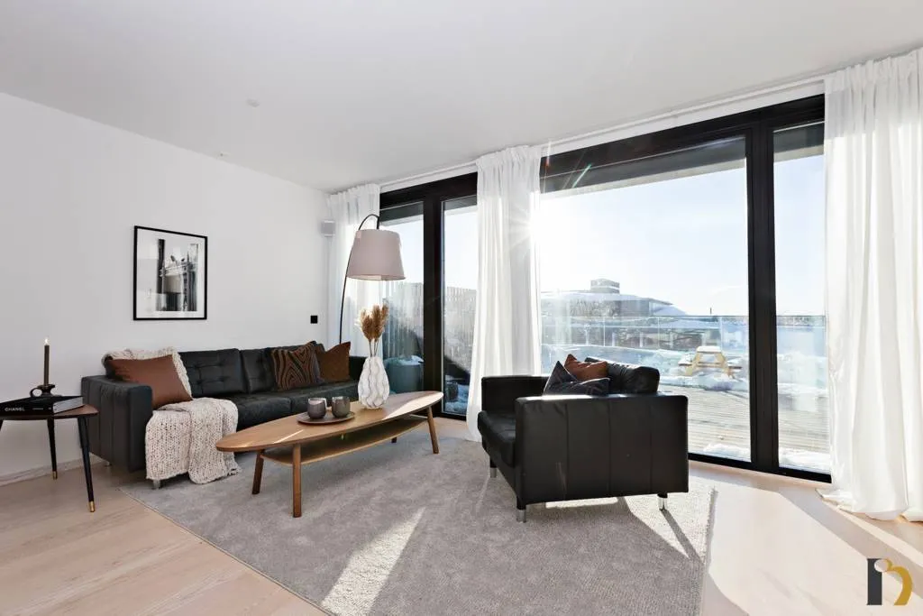 Séjour - Penthouse with Terrace in Umeå