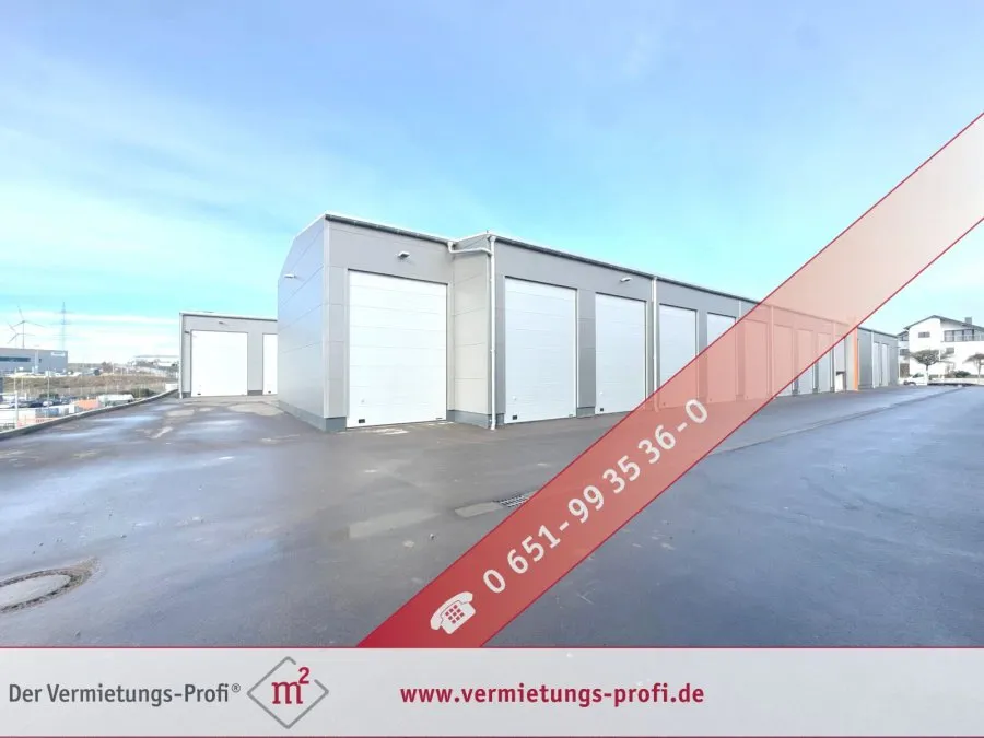 Extérieur - Local commercial à Trierweiler