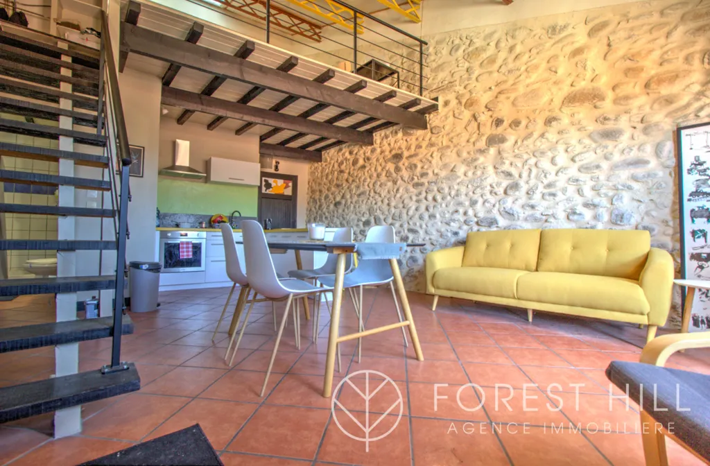 Elutuba - Stone Loft with Mezzanine in Céret Centre