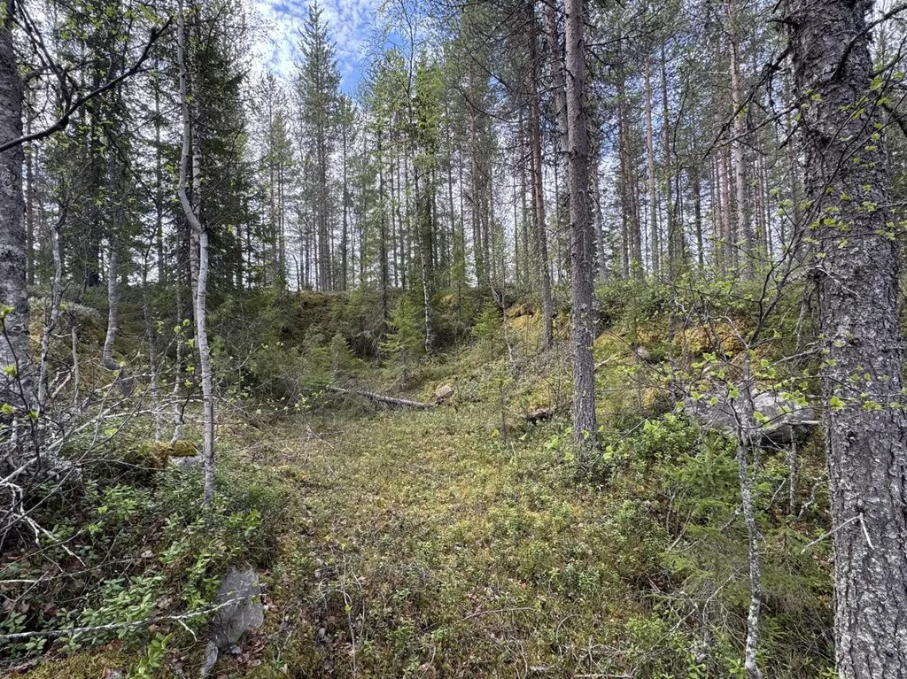 Jardin - Unbuilt Plot with Lakefront in Kuusamo