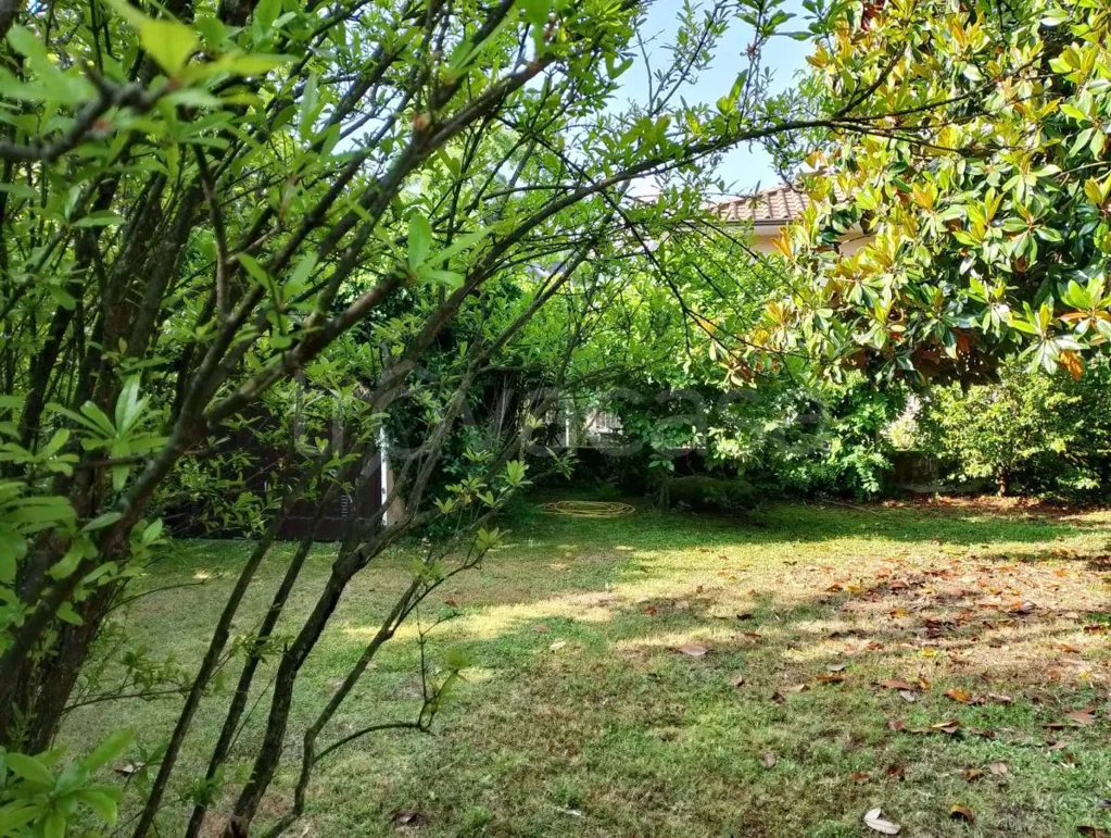 Garden - Independent Villa with Private Garden in Barge