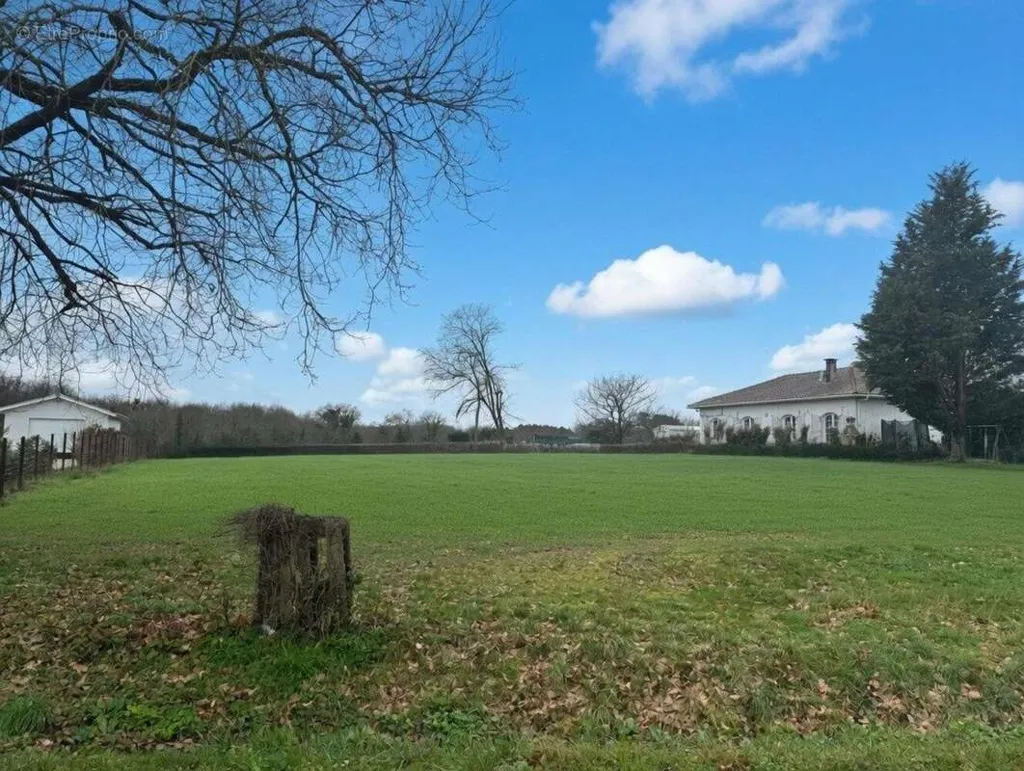Garden - Buildable Land with Natural Setting in Jau-Dignac-et-Loirac