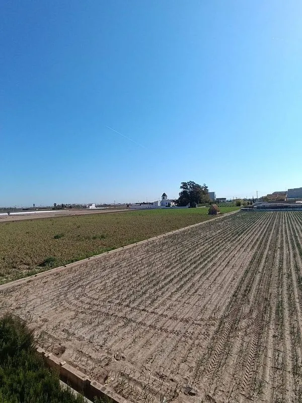 Jardin - Rustic Farmhouse with Land near Huerta