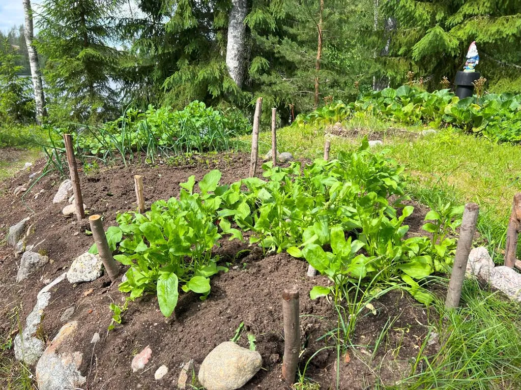 Aed - Cottage with Private Lakefront in Suurijärvi