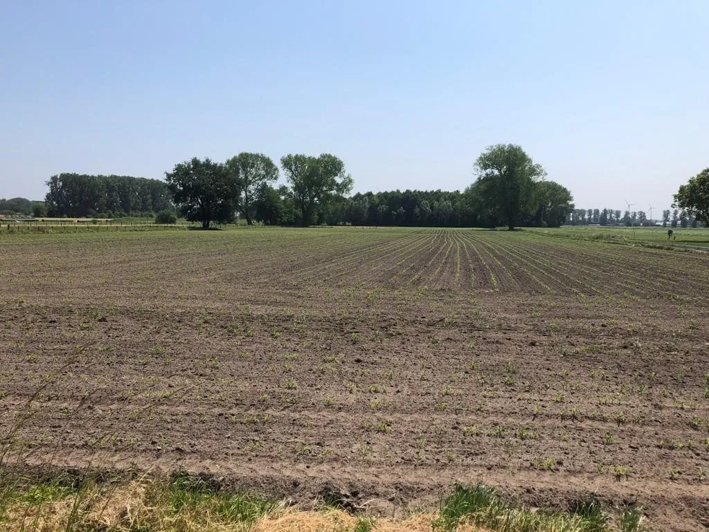 Aed - Buildable Plot with South View in Lokeren