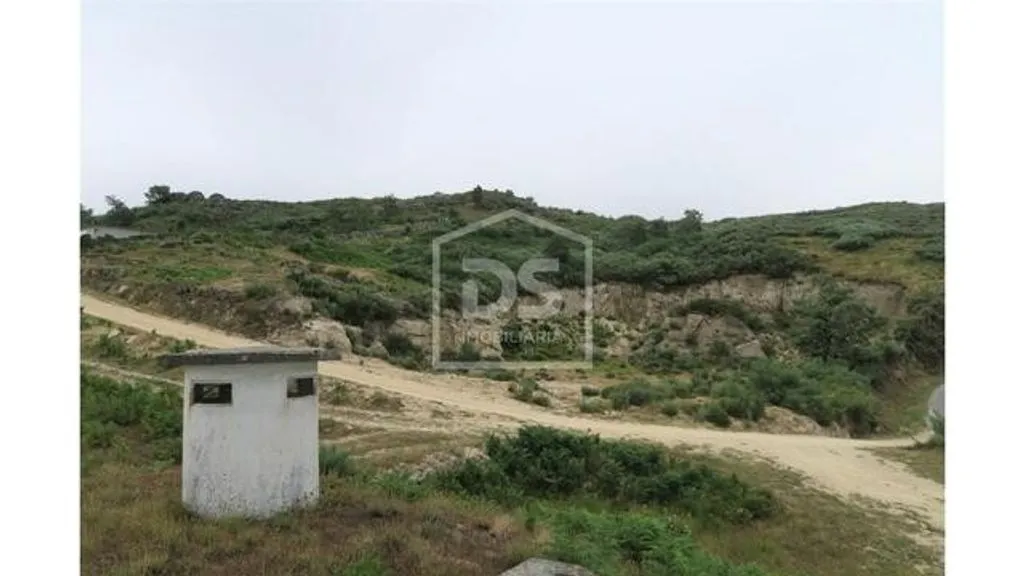 Jardin - Luxury Villa with Solar Panels in Penafiel