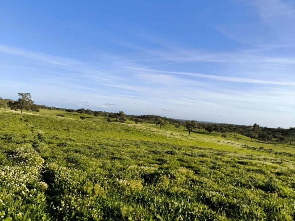Aed - Luxury Farmhouse with Development Potential in Alentejo