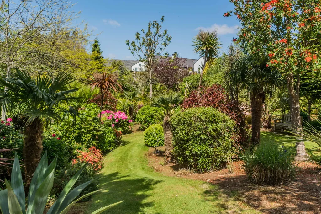 Jardin - Maison 4 chambres à Schull