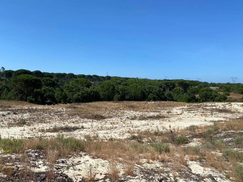 Aed - Buildable Land with Water Access near Grândola