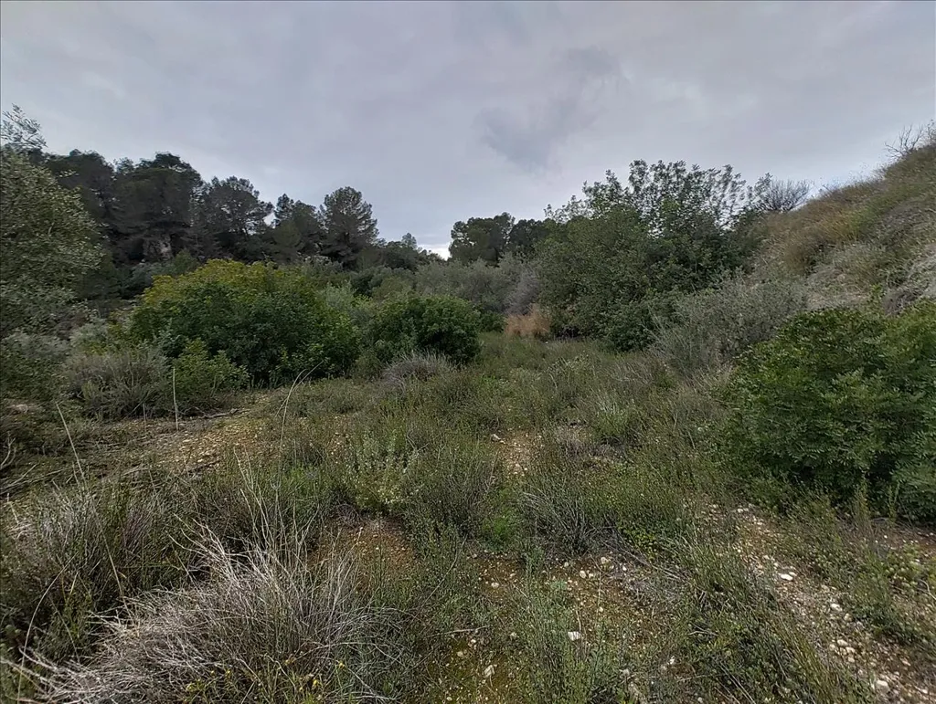 Jardin - Rustic Land with Vineyard in La Llosa de Ranes