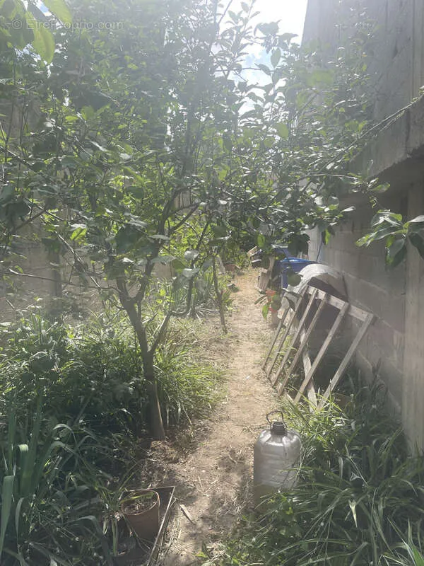 Jardin - Bâti à Rénover avec Deux Places de Parking à Meynes