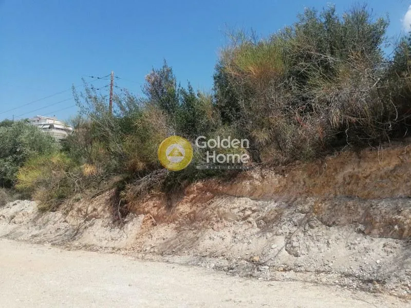 Jardin - Villa with Sea View in Aeghion