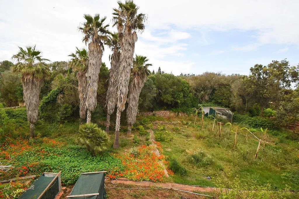 Jardin - Rural House with Pool near Ciutadella