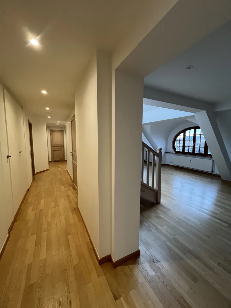 Entrée - Duplex avec Terrasse à Strasbourg République