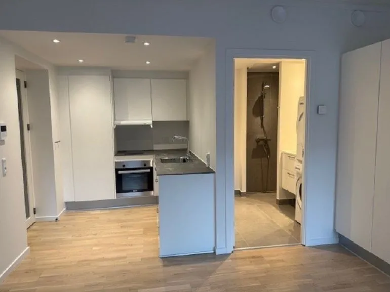 Cuisine - One-Bedroom Apartment with Central Location in Odense C