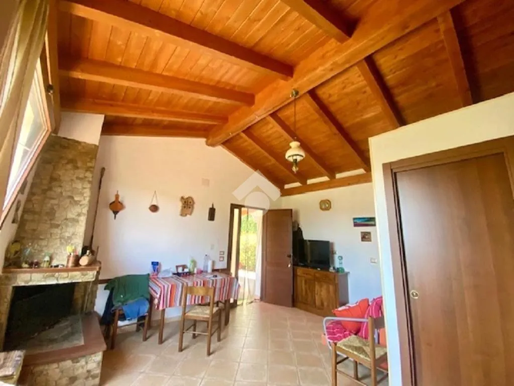 Soggiorno - Rustico with Olive Grove in Alghero