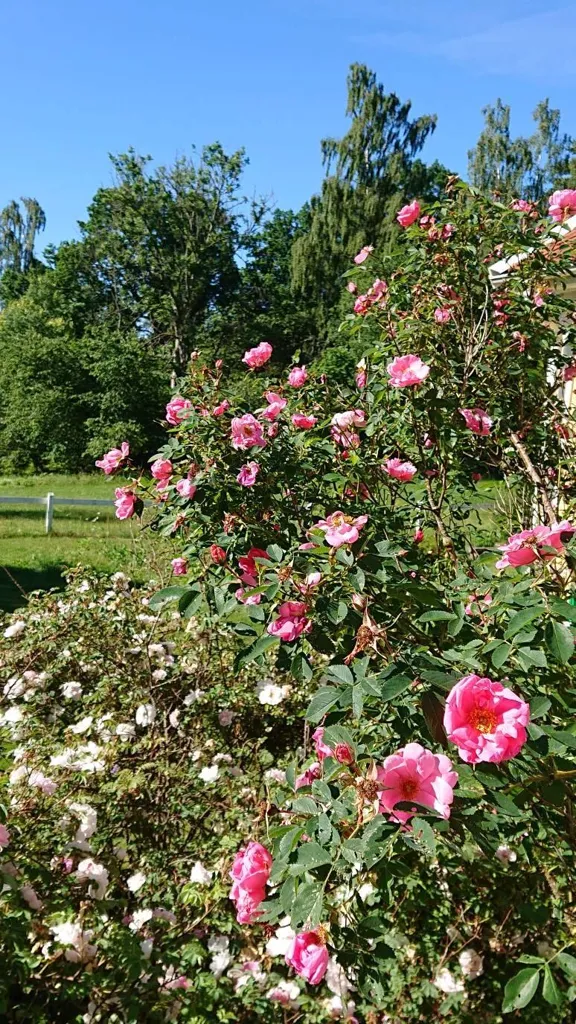 11-toaline maja asukohas Ulricehamns kommun