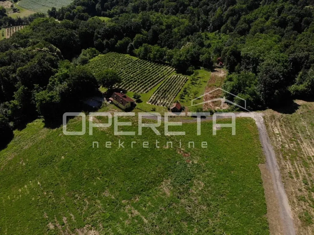 Aerial - Detached House with Forest View in Kelemen