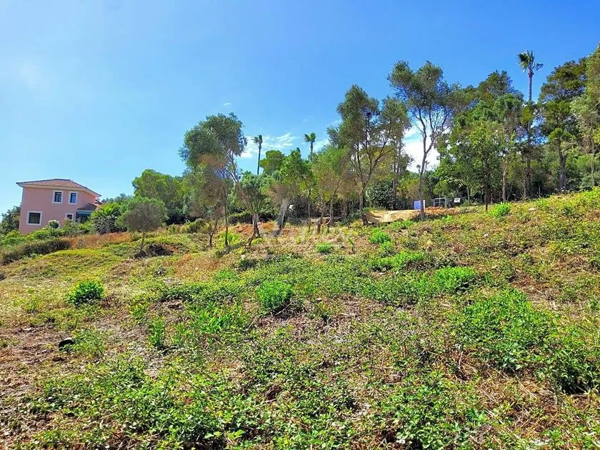 Giardino - Chalet with Garden Views in Sotogrande