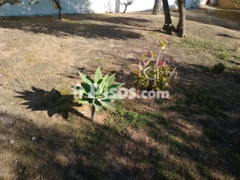 Garden - Rustic House with Garden in La Atalaya
