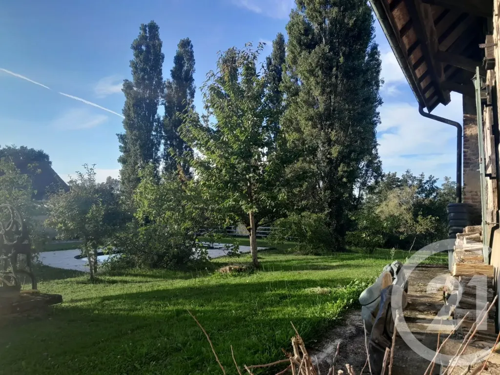 Jardin - Maison de Prestige avec Piscine à Saint-André-en-Bresse