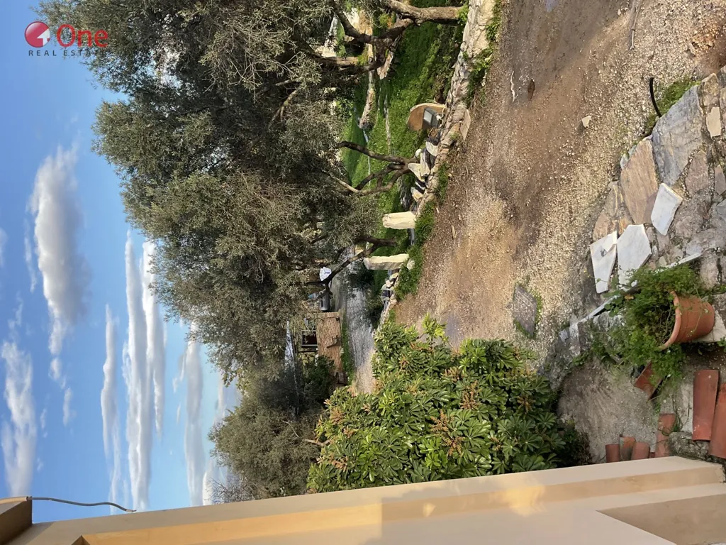 Aed - Maisonette with Garden in Markopoulo Oropou