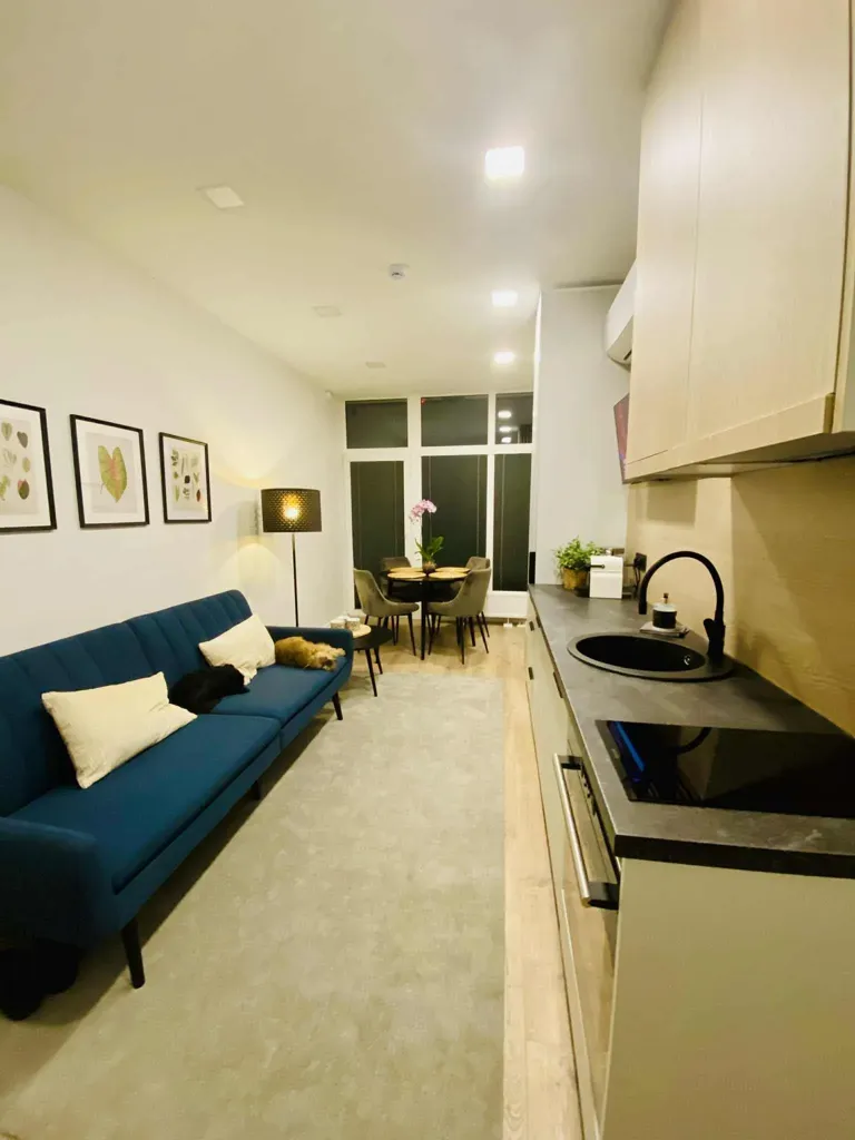 Séjour - Renovated 2-Bedroom Flat in Vilnius