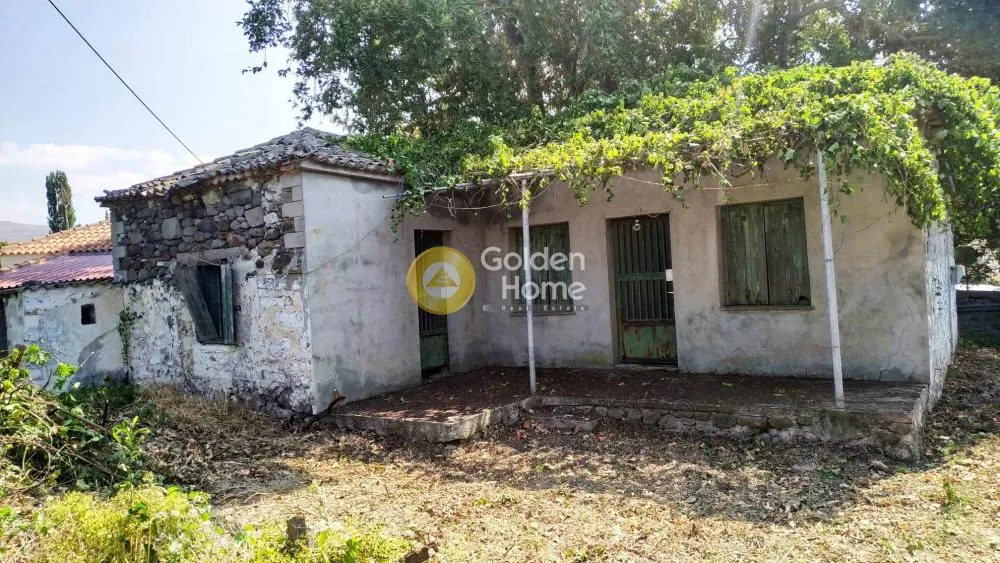 1-room house in GR