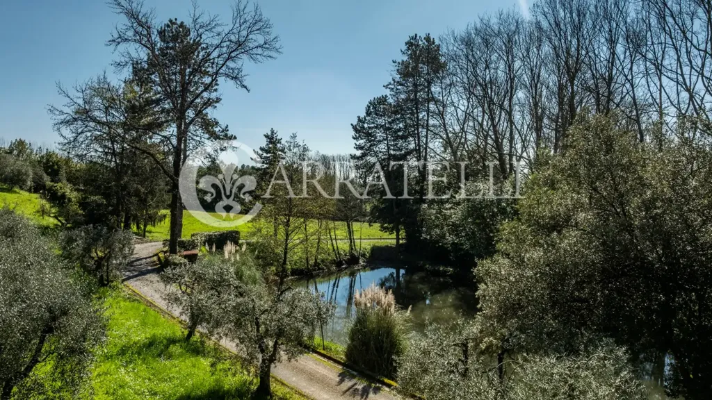 Aed - Historic Villa with Olive Grove in Capannori