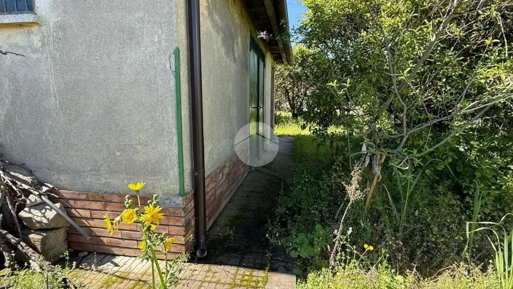 Jardin - Rustic House with Large Garden in Corigliano-Rossano