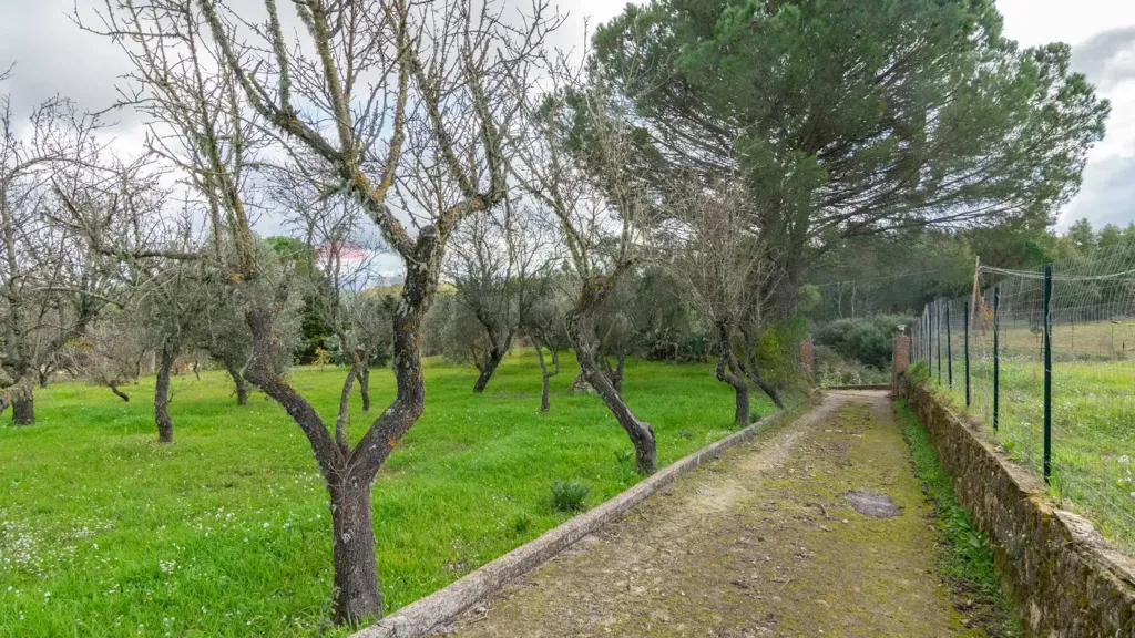 Aed - Bifamiliar Villa with Garden in Piazza Armerina