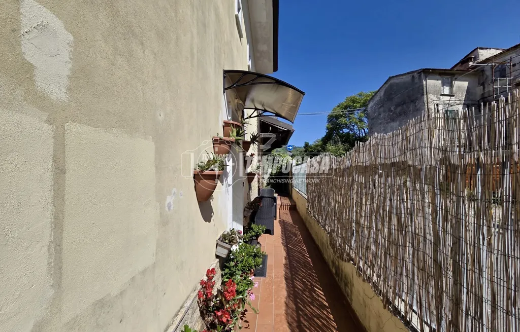 Aed - Rustic Villa with Garden in Castagnola, Massa