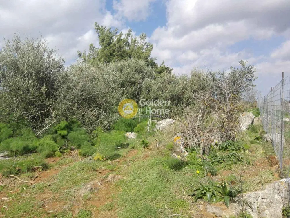 Garden - Land in GR