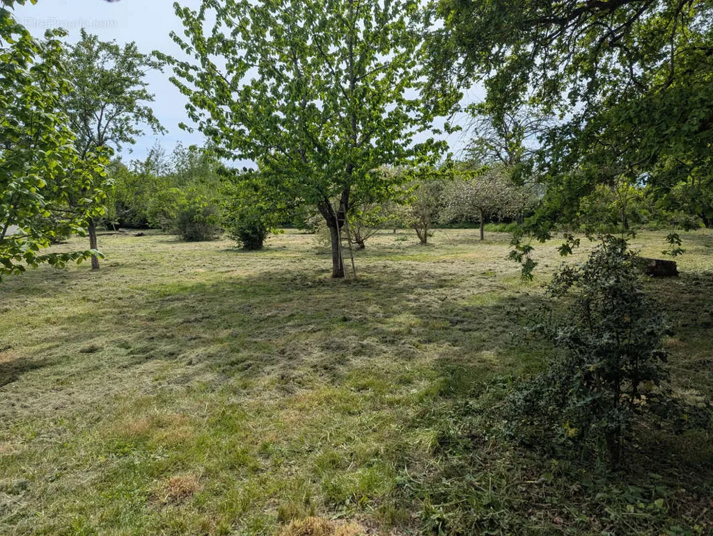land_plot
