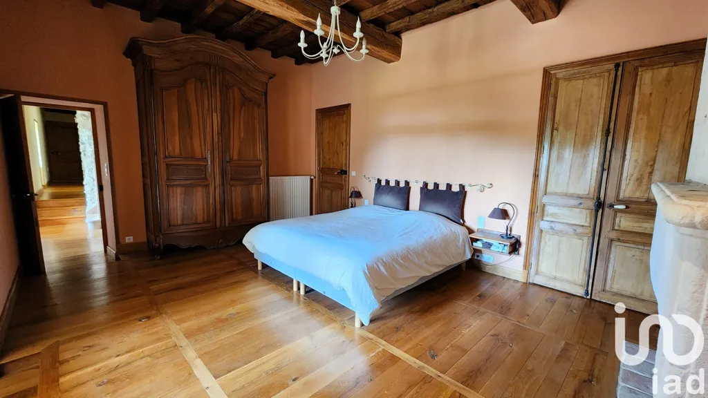 Magamistoad - Renaissance Manor with 14 Ha in Jaure