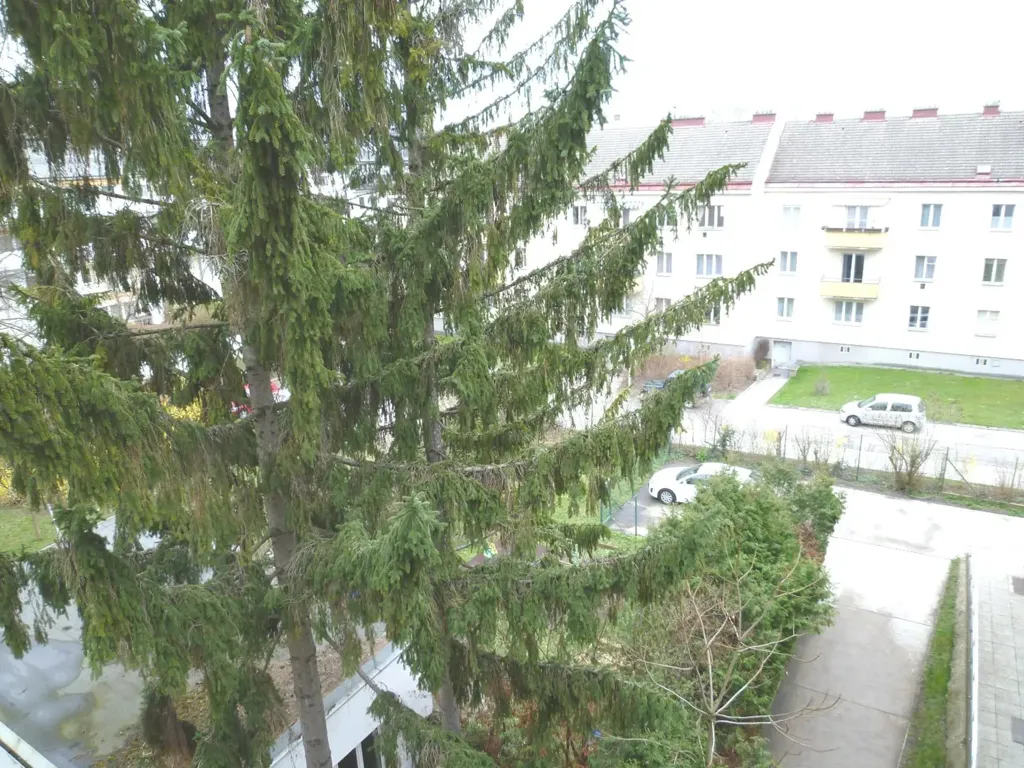 Balcony - Penthouse with Terrace in Unter St.Veit, Hietzing