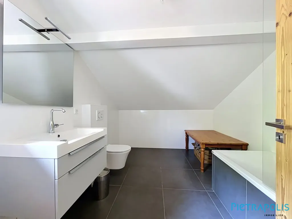 Vannitoad - Chalet with Ski Access in La Mainaz