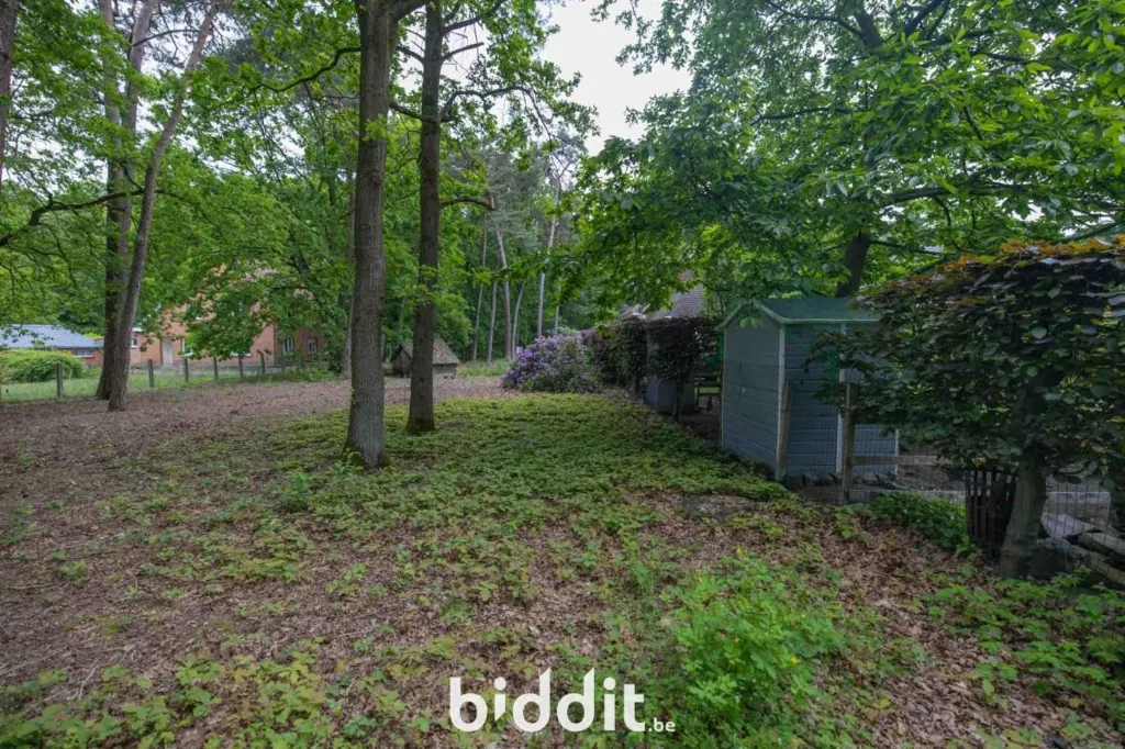Jardin - Terrains à Bâtir Semi-Ouverts à Bouwel