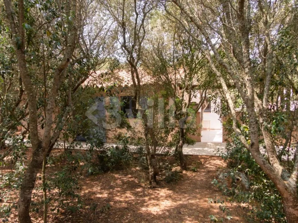 Aed - Chalet with Private Pool in Ciutadella de Menorca