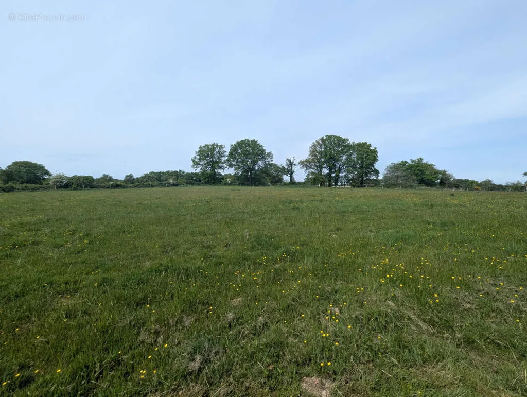 land_plot
