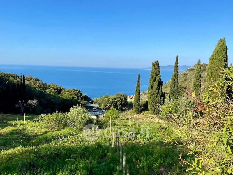 Jardin - Villa with Sea View in Monte Argentario