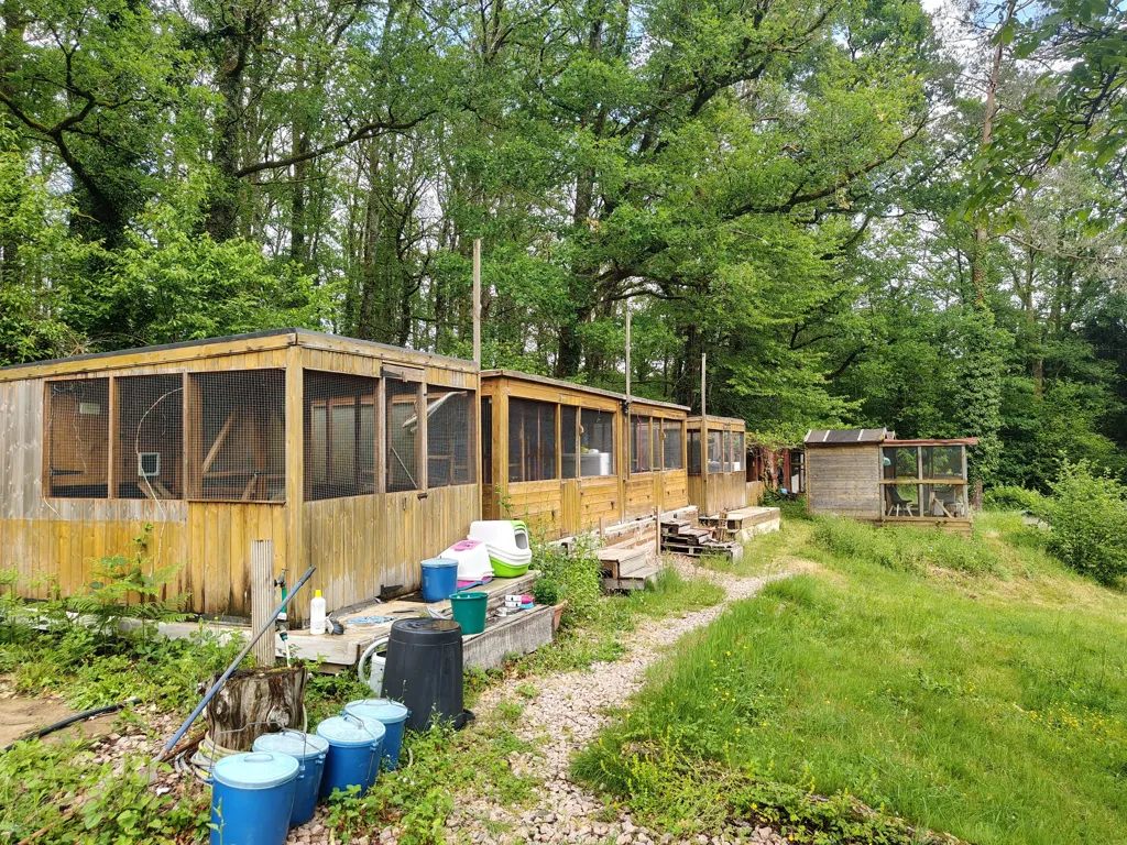Jardin - Maisonnette avec Deux Étangs dans le Périgord Vert
